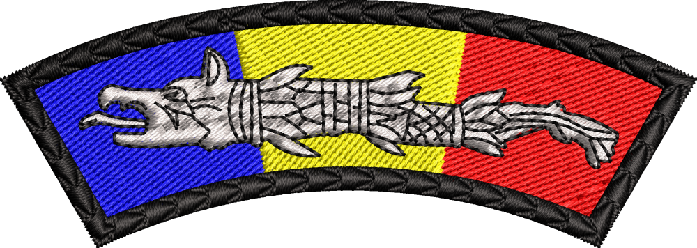 Patch-uri militare  / EMBLEMA CAP DACIC TRICOLOR 1